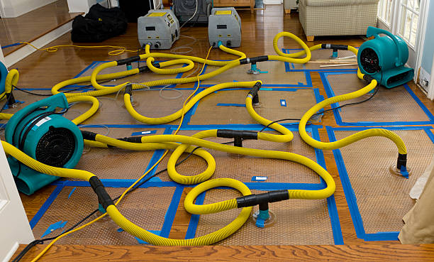 Professional Burst Pipe Water Damage technician working in River Rouge, MI