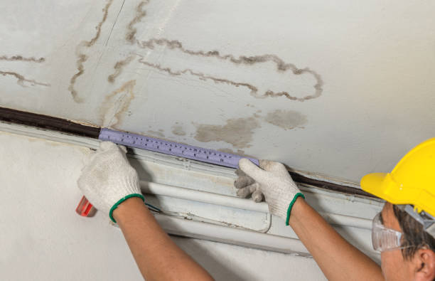 Affordable Burst Pipe Water Damage solutions in River Rouge, MI